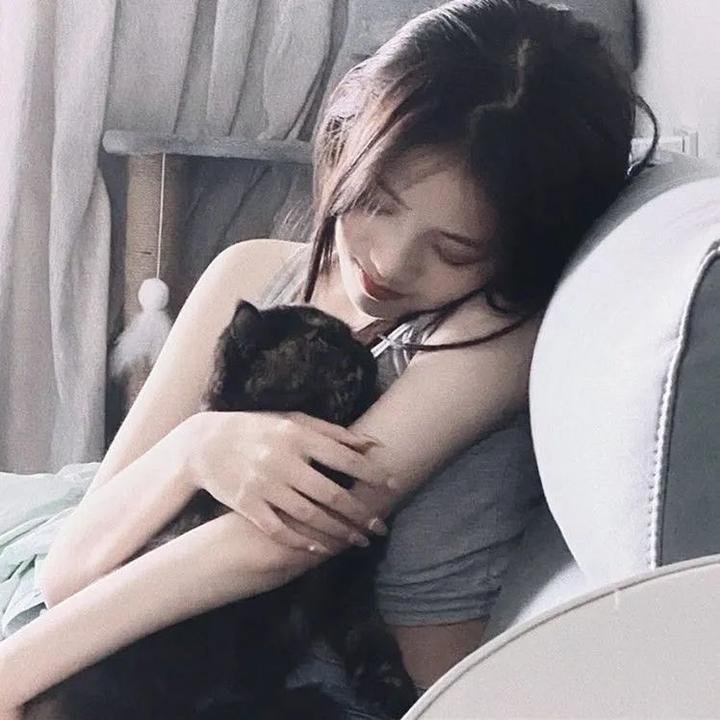 迷你特工队之拯救恐龙王